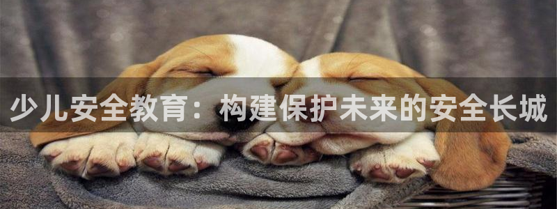 玩电子cq9