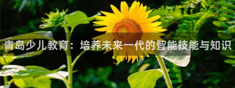 cq9电子洪福齐天