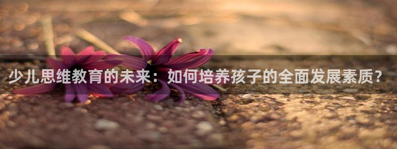 电子cq9什么意思