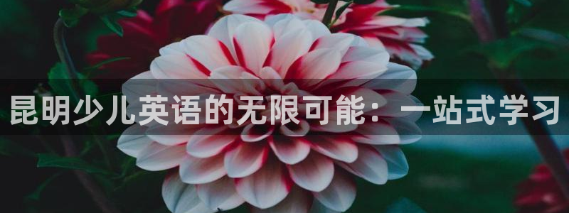 永利cq9电子