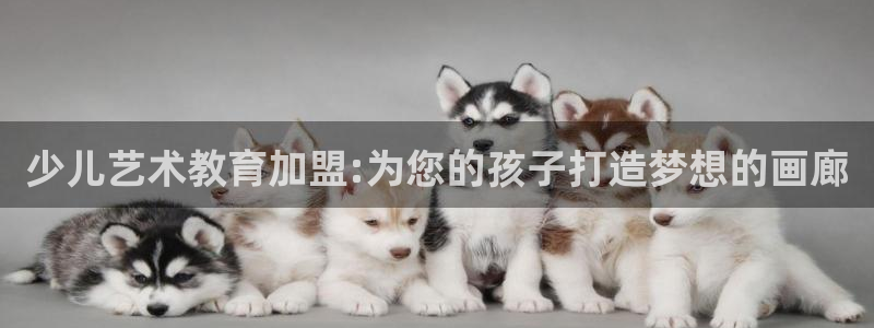 cq9电子琴