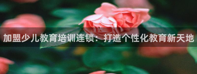 cq9电子苹果版