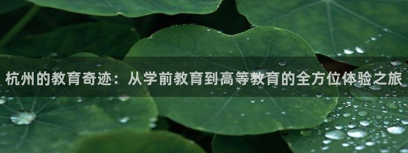 cq9电子怎么样