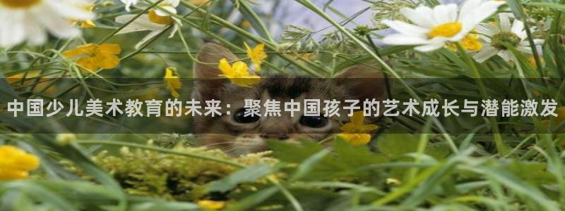 黑客攻击cq9电子