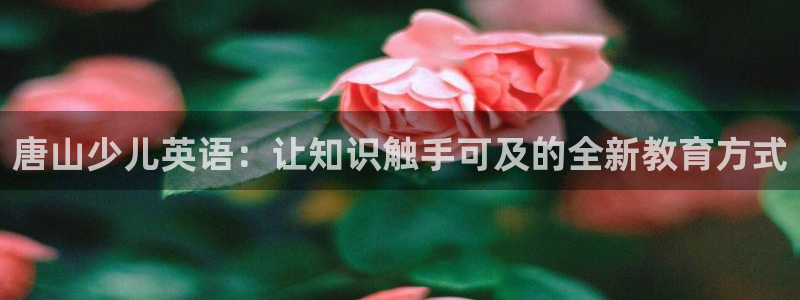 cq9电子网
