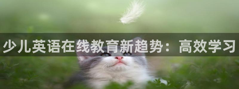 cq9电子下载什么软件