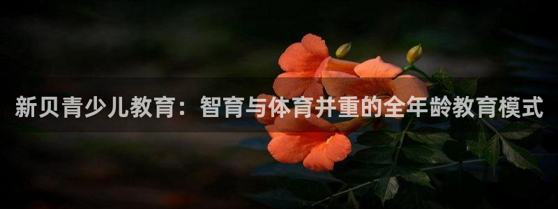 开启cq9电子