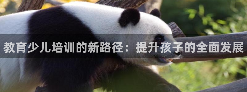 cq9电子辅助脚本