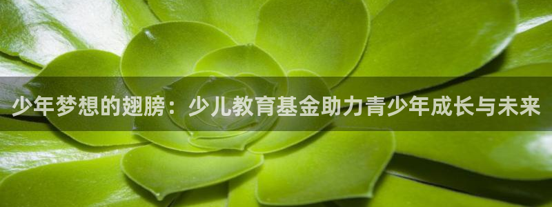 cq9电子系列