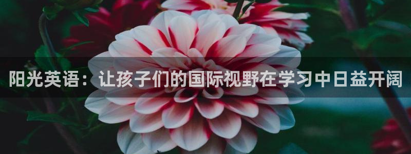 cq9电子 pp电子 qly捕鱼