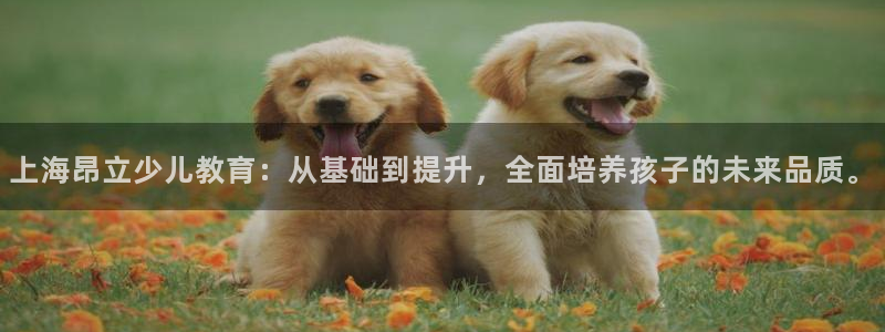 cq9电子试玩网站