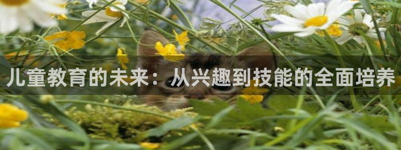 cq9电子武圣技巧