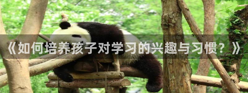 cq9传奇电子脚本