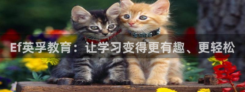 新威尼斯CQ9电子