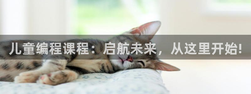 传奇cq9电子测评