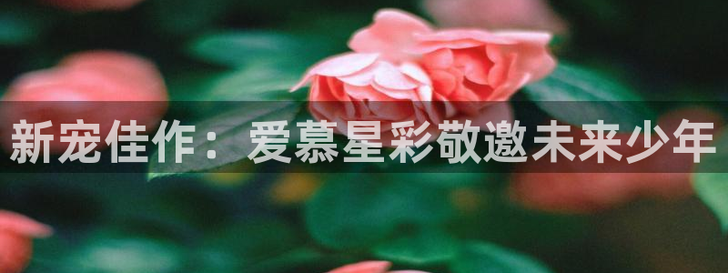 cq9电子传奇多少分