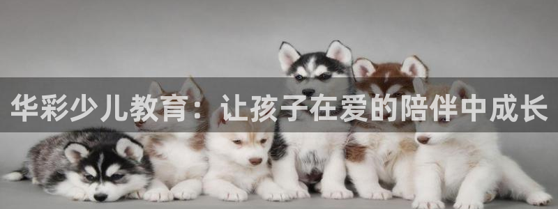 CQ9电子更多游戏