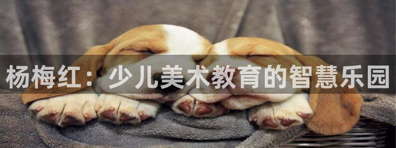 CQ9电子游戏官网