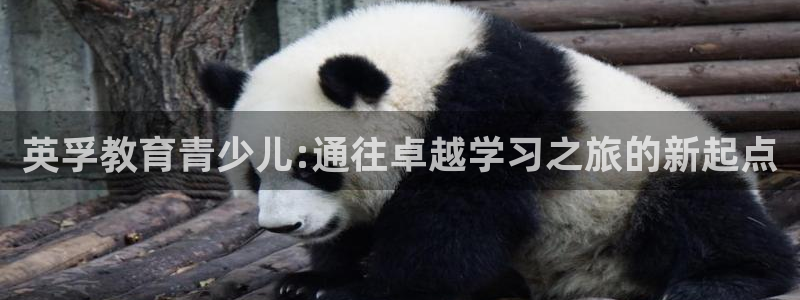 cq9电子官方网址