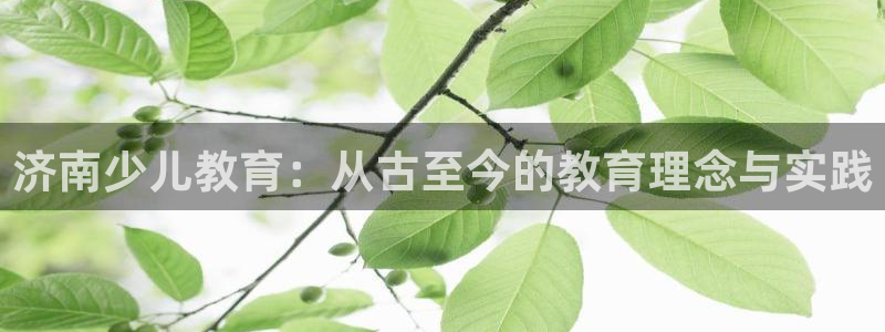 cq9电子游戏技巧
